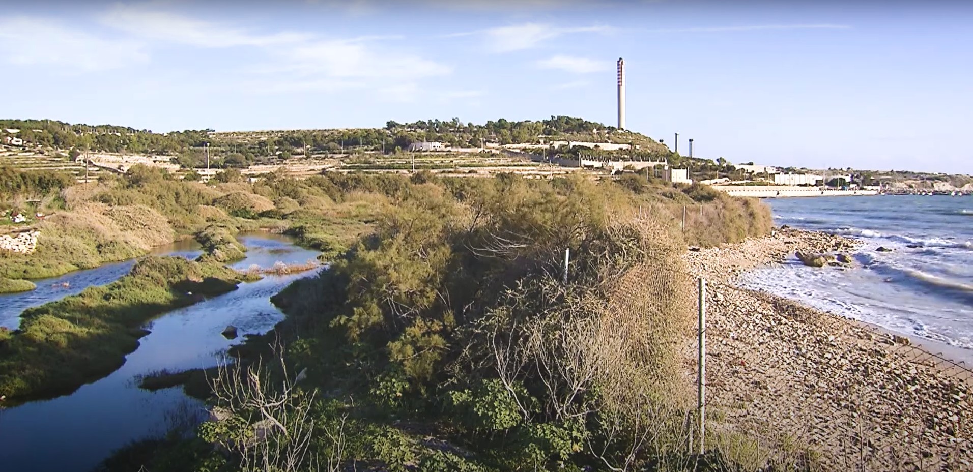 Restoration of Il-Ballut ta’ Marsaxlokk: A Step Towards Ecological Balance